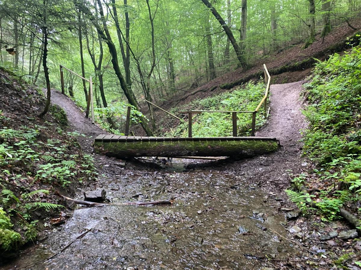 Neu!!! Netflix!!! Schoene Ferienwohnungen Im Gruenen Mit Top Ausstattung - Nur 15 Min Bis Koblenz Eitelborn Εξωτερικό φωτογραφία